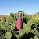 Clear-Wine Red 20 Oz, HYDY - Water bottles, 18/8 (304) Stainless Steel, BPA Free, Reusable
