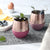 Pink Gold Tumbler-Sangria 8 OZ, HYDY - Water bottles, 18/8 (304) Stainless Steel, BPA Free, Reusable