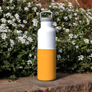 White-Pumpkin Orange 20 Oz, HYDY - Water bottles, 18/8 (304) Stainless Steel, BPA Free, Reusable
